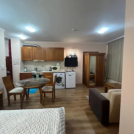 דירה Spacious At Gondola! Fast Wifi, Washer, Ac, Balcony, Quiet בנסקו